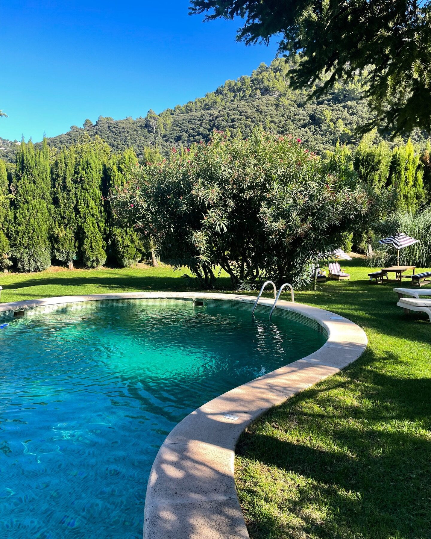 The hotel's garden pool curving across green lawn, a wooded pine-covered ridge of the Serra de Tramuntana filling the slope behind it